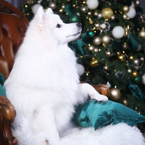 Minimalist profile of a guide in a calm setting